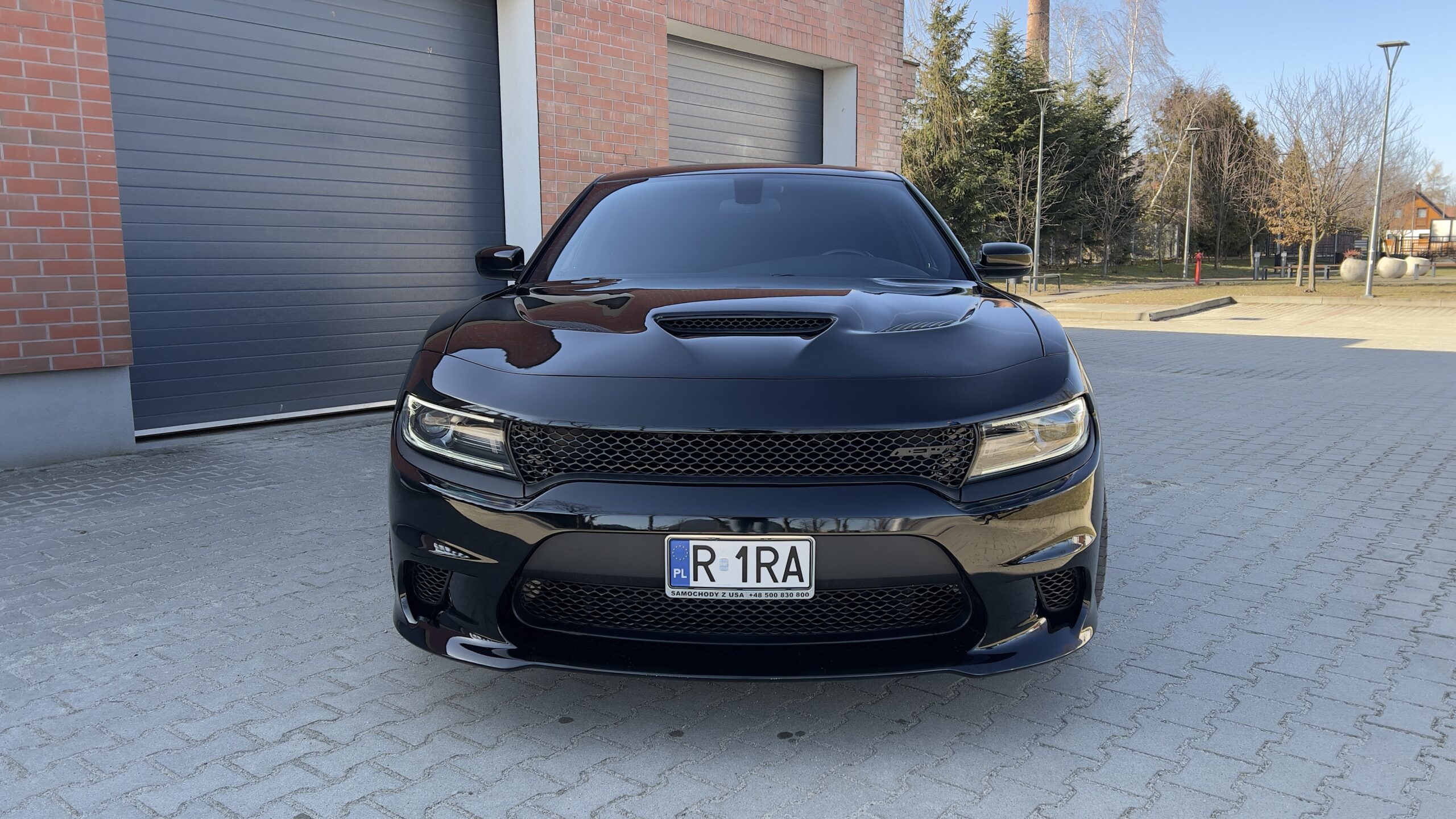Dodge Charger 2019